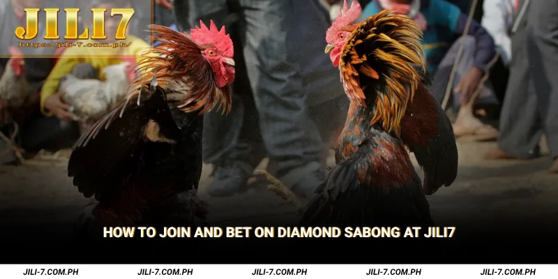 How to Join and Bet on Diamond Sabong at JILI7