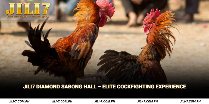 JILI7 Diamond Sabong Hall